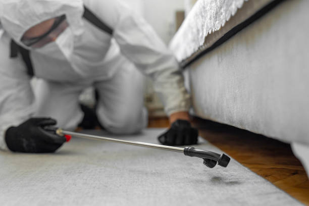 Professional Termite Control technician working in Fairland, MD