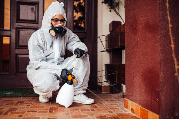 Reliable Termite Control contractor in Fairland, MD by Nex Pest Control